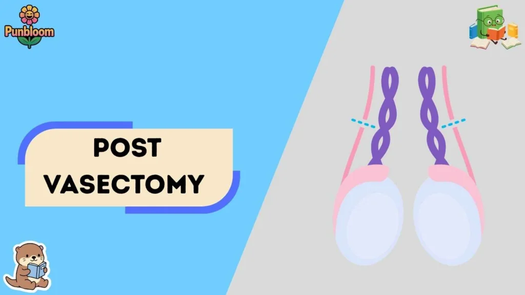 Post Vasectomy 