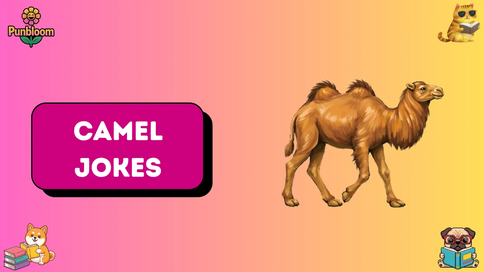 camel jokes