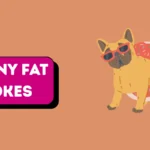 funny fat jokes
