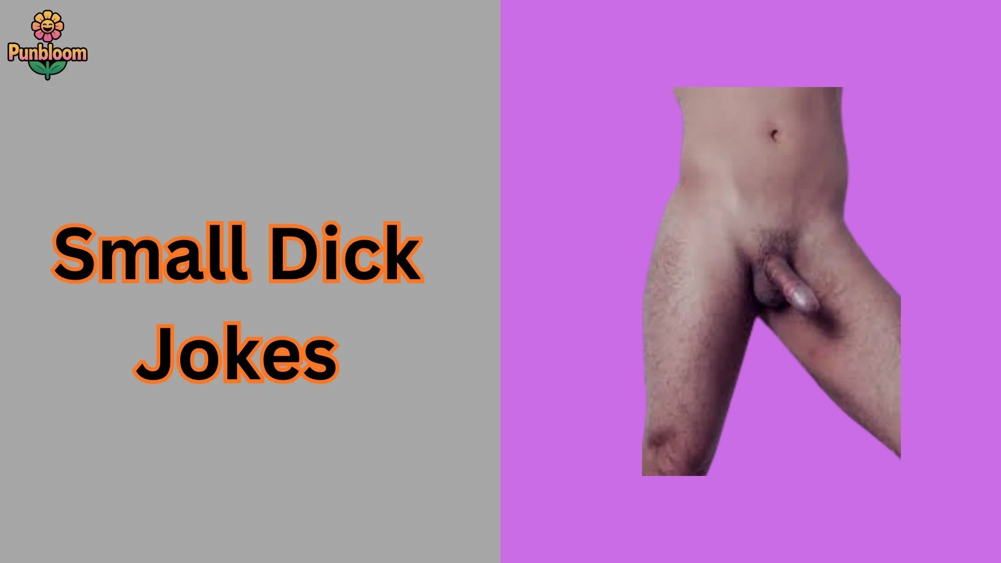 Small Dick Jokes