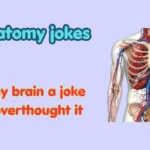 anatomy jokes