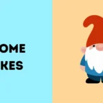 gnome jokes