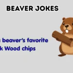 Beaver jokes
