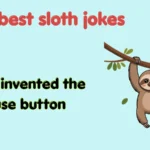 best sloth jokes
