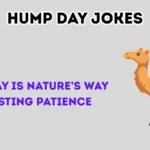 hump day jokes