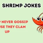 Shrimp jokes