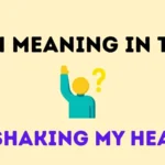 smh meaning in text