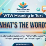 wtw meaning in text