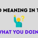 wyd meaning in text