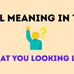 wyll meaning in text