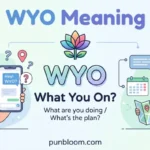 wyo meaning in text