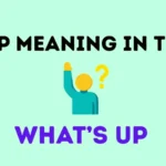 wsp meaning in text